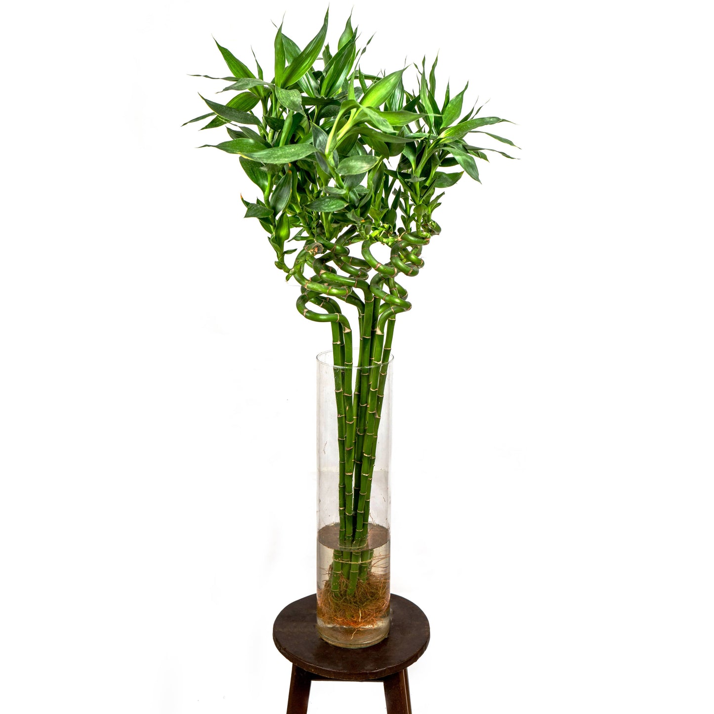 Spiral Bamboo