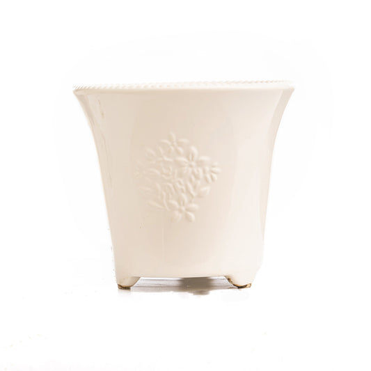 Sally Pot