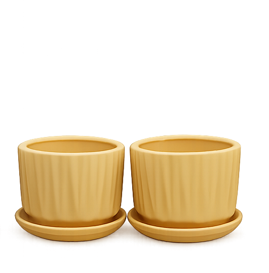 Bonbon Pot