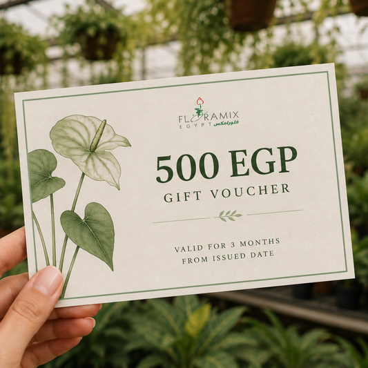 GIFT VOUCHER