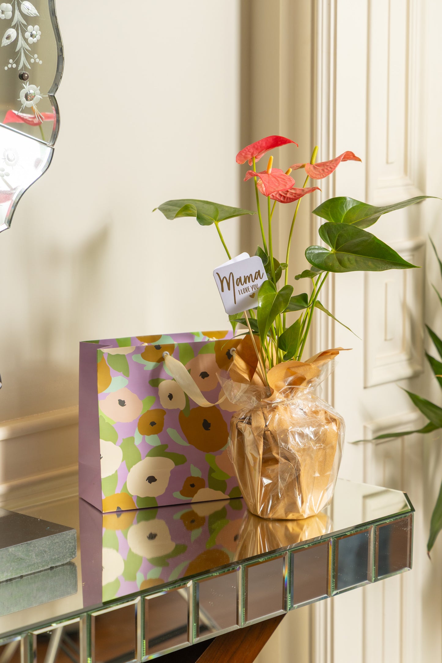 Blooming Anthurium