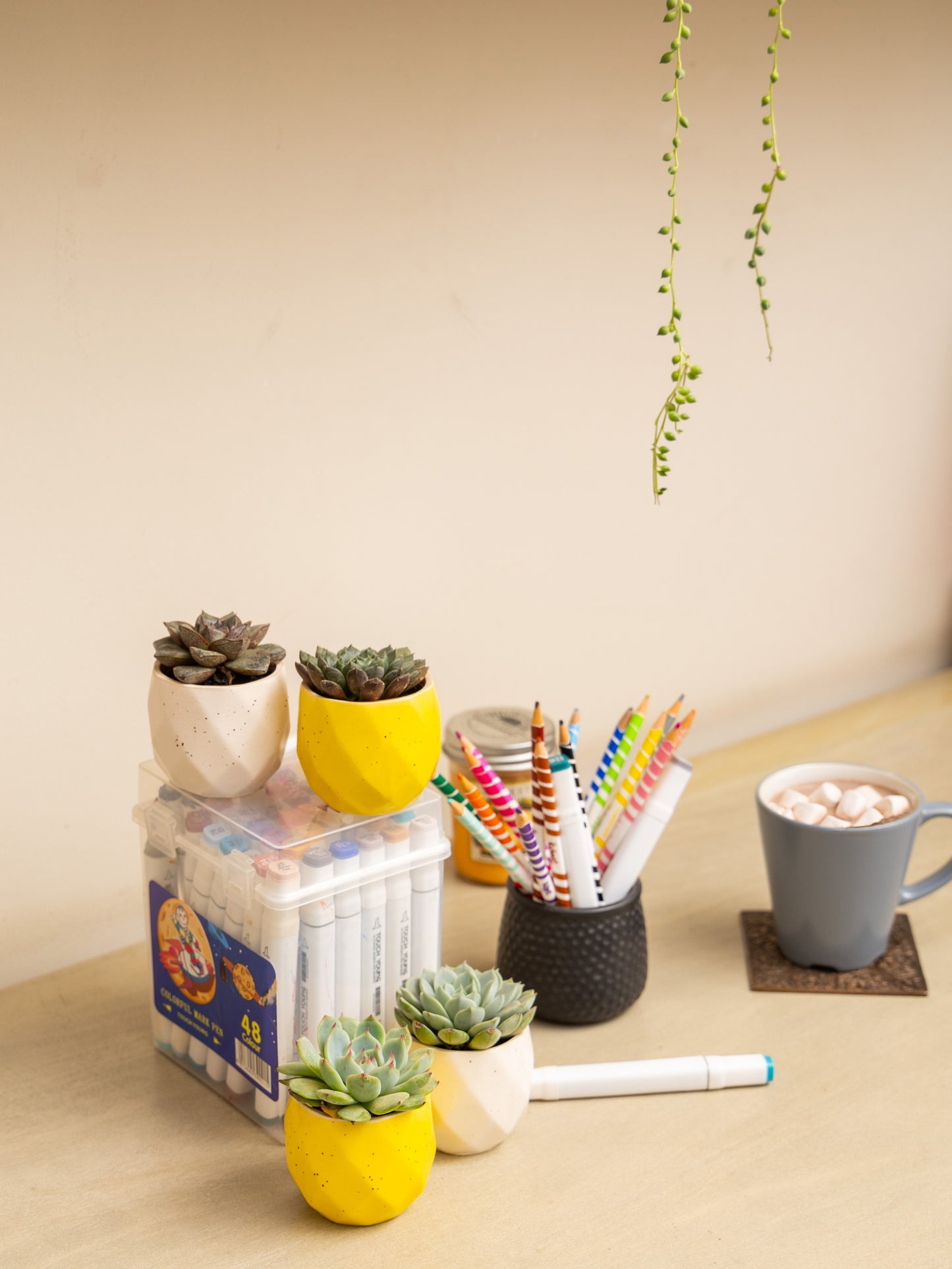 Desk Cactus Trio