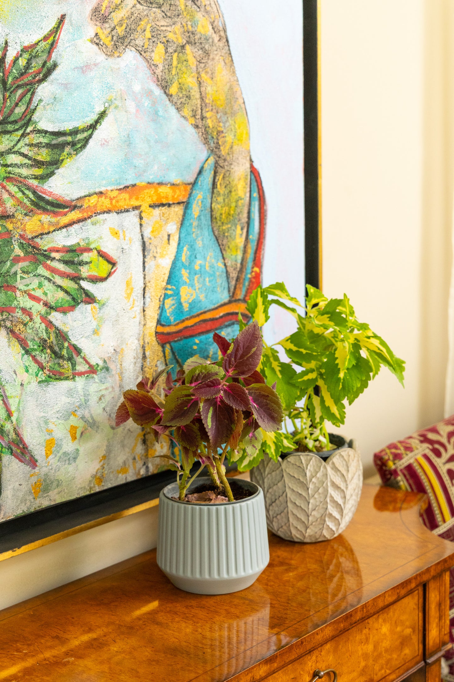Coleus