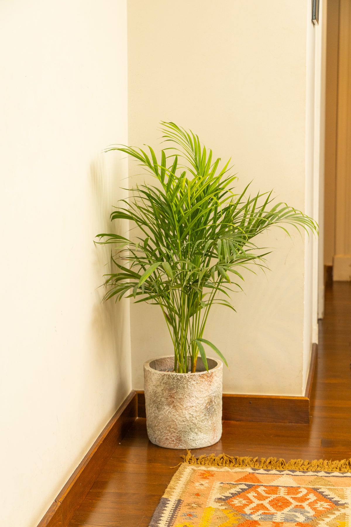 Green Space Package