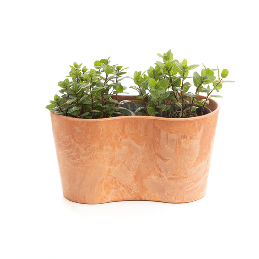 Bi-Claire Pot