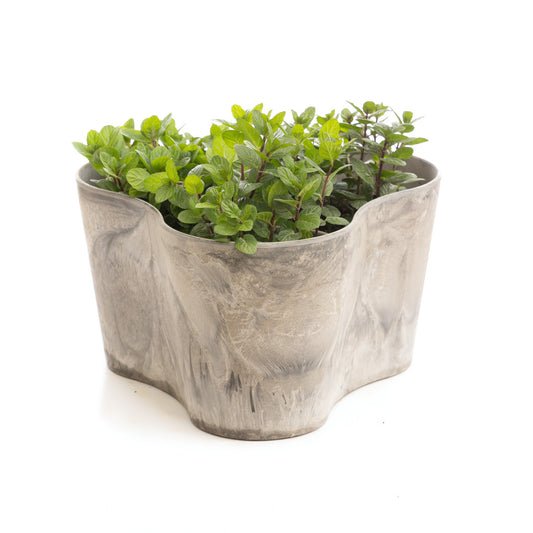 Trio-Claire Pot